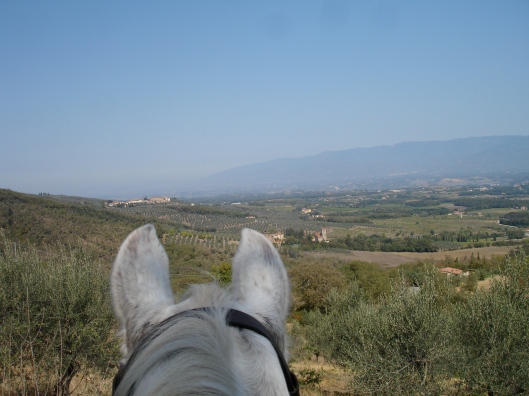 She takes most of her photos on the Chianti ride as the views are really spectacular. Here we are the first day of our journey, stopping beneath the castle of Cennina and looking back over the Arno valley. Ears satisfactory, mane so-so.