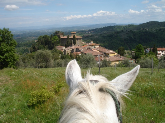 Here we are above the castle and village of Montegonzi on our way home. Look at my ears and mane! Words fail me.