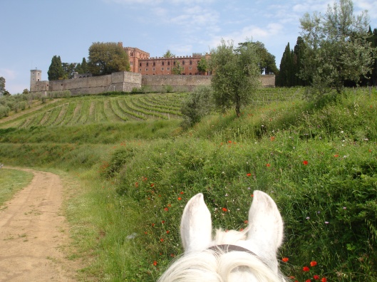 This is a view of the castle of Brolio which we see on the fourth day. Ears fine, mane messy again. Can you NEVER get it right, Jenny? We don't all want to look as dishevelled as you!